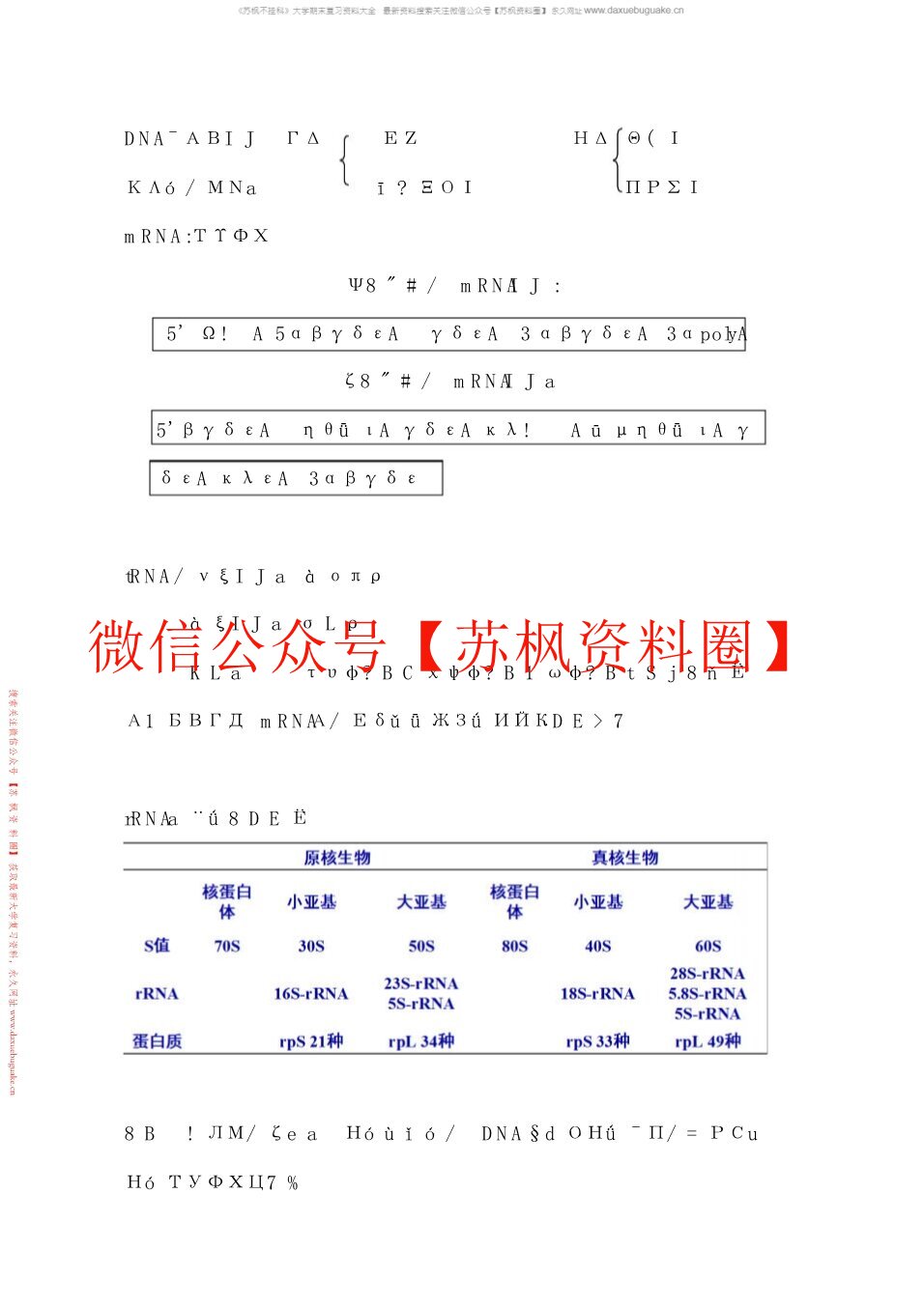 药学分子生物学